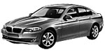 BMW F10 P0C9C Fault Code
